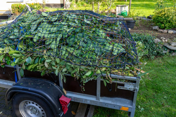 Best Recycling Services for Junk  in Flippin, AR